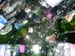 DSC02396