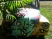 DSCN1359